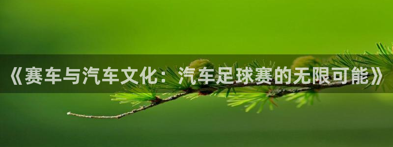 意昂2开户：《赛车与汽车文化：汽车足