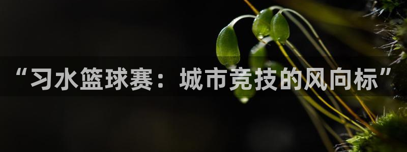 意昂2平台股东：“习水篮球赛：城市竞技的风向标”
