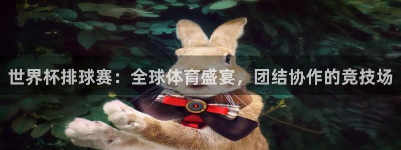 意昂2登录：世界杯排球赛：全球体育盛