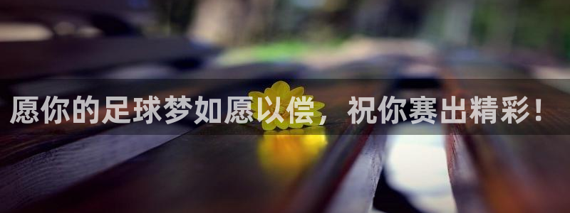 意昂2登录地址