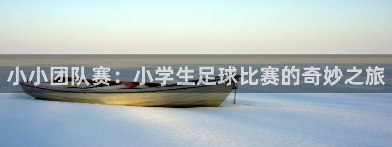 意昂2登录地址：小小团队赛：小学生足