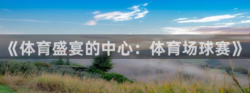 意昂2平台怎么样：《体育盛宴的中心：体育场球赛》