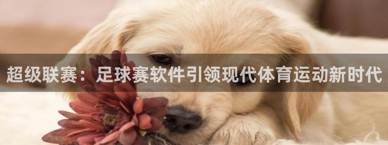 意昂2如何注册开户：超级联赛：足球赛软件引领现代体育运动新时
