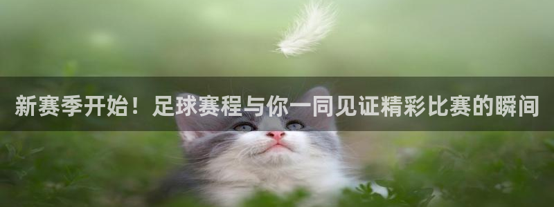 意昂2登录注册：新赛季开始！足球赛程与你一同见证精彩比赛的瞬