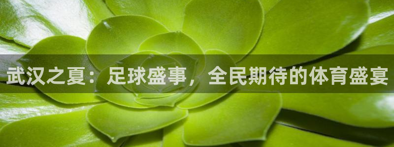  意昂2体育在线平台登录：武汉之夏：足球盛事，全民期待的体育盛