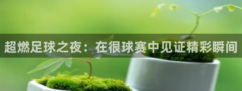意昂2平台登录