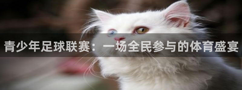 意昂2登录入口