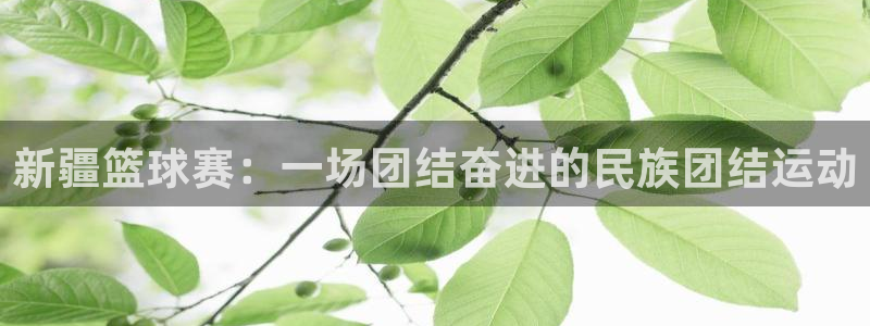 意昂2体育：新疆篮球赛：一场团结奋进的民族团结运动
