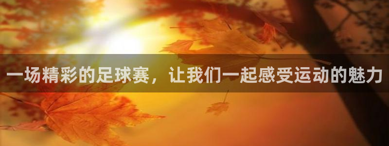  意昂2娱乐平台开户：一场精彩的足球赛，让我们一起感受运动的魅