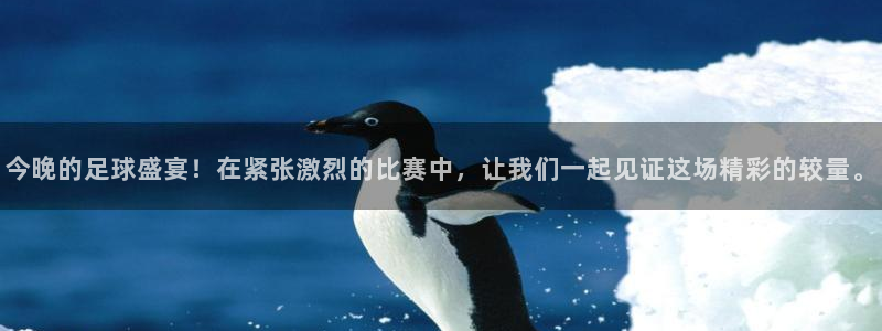 意昂2体育在线平台登录：今晚的足球盛
