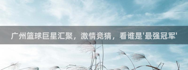 意昂2平台股东：广州篮球巨星汇聚，激