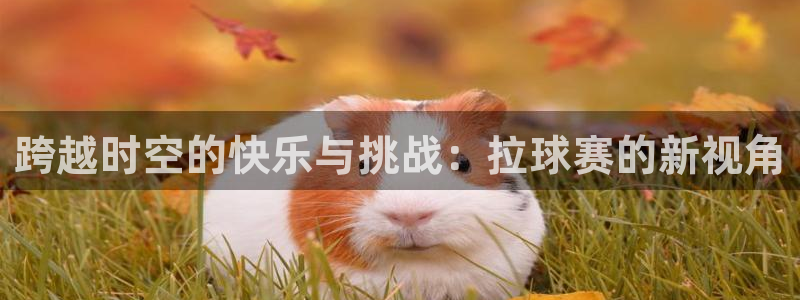  意昂2娱乐平台开户：跨越时空的快乐与挑战：拉球赛的新视角