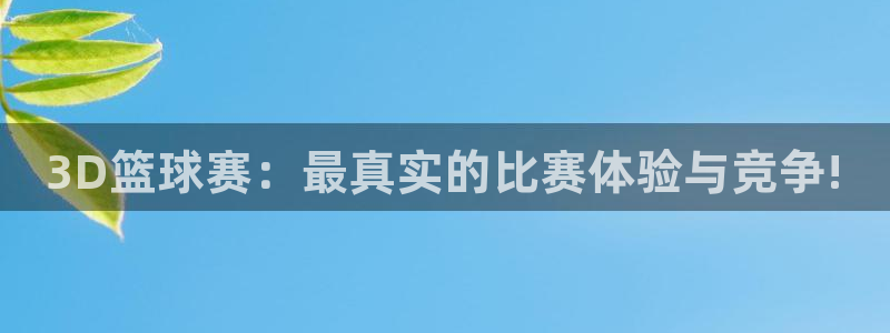 意昂2登录：3D篮球赛：最真实的比赛