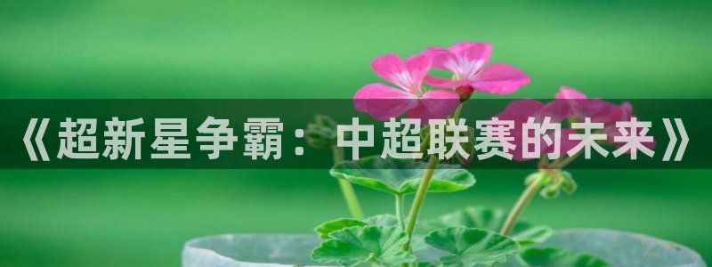  意昂2官方网站：《超新星争霸：中超联赛的未来》
