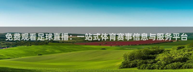 绿茵足球直播晚晚：免费观看足球直播：一站式体育赛事信息与服务平台