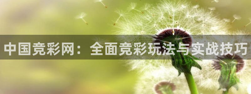 足球绿茵直播免费观看：中国竞彩网：全面竞彩玩法与实战技巧