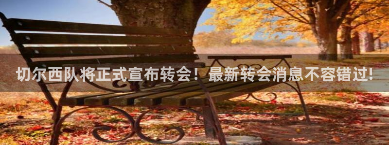 nba绿茵免费直播：切尔西队将正式宣布转会！最新转会消息不容错过!