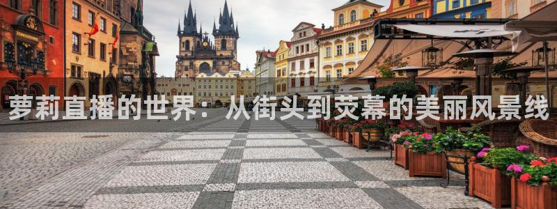 nba绿茵直播：萝莉直播的世界：从街头到荧幕的美丽风景线
