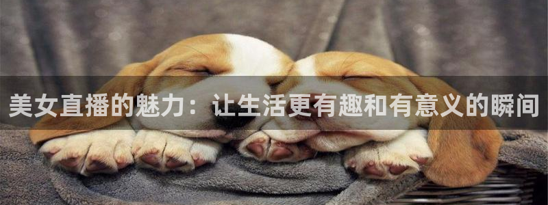 绿茵体育直播lyzb：美女直播的魅力：让生活更有趣和有意义的瞬间