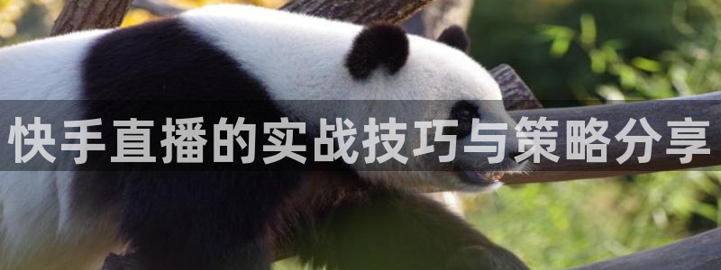 足球绿茵直播：快手直播的实战技巧与策略分享
